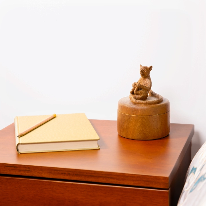 Lemur on the Box handcrafted Boxes & Jars, styled in an interior