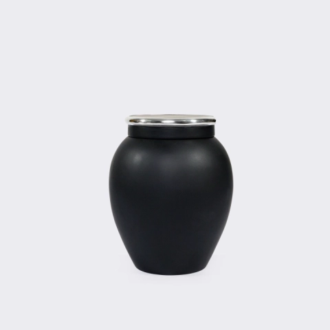 Studio solo of the jars