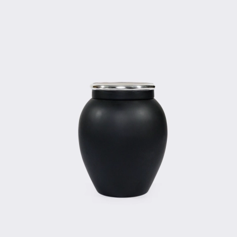 Studio solo of the jars